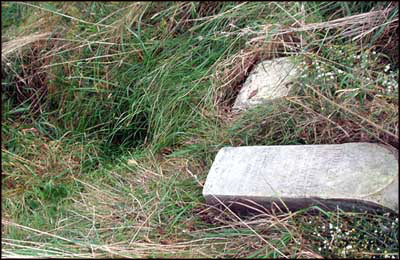Headstone of Thurza Williams McCarter