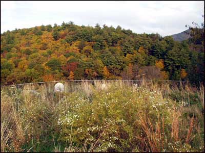McCarter-Barton Cemetery